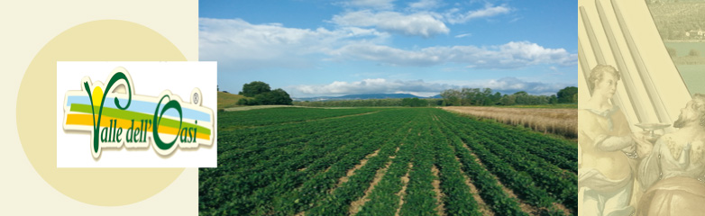 Azienda Agricola Valle dell'Oasi
